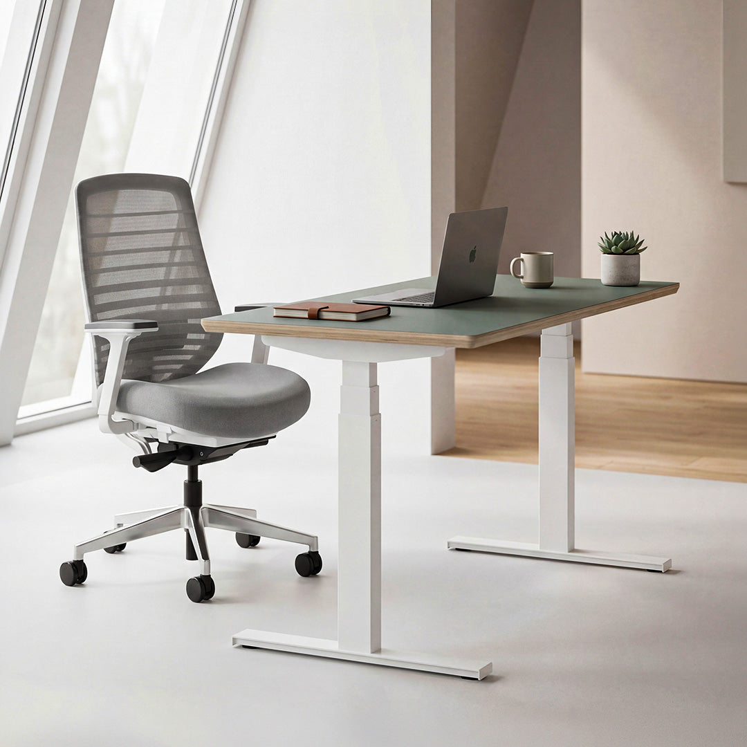 Model 301 Electric Standing Desk | Beige Fenix | 48 x 24 in | Black Legs