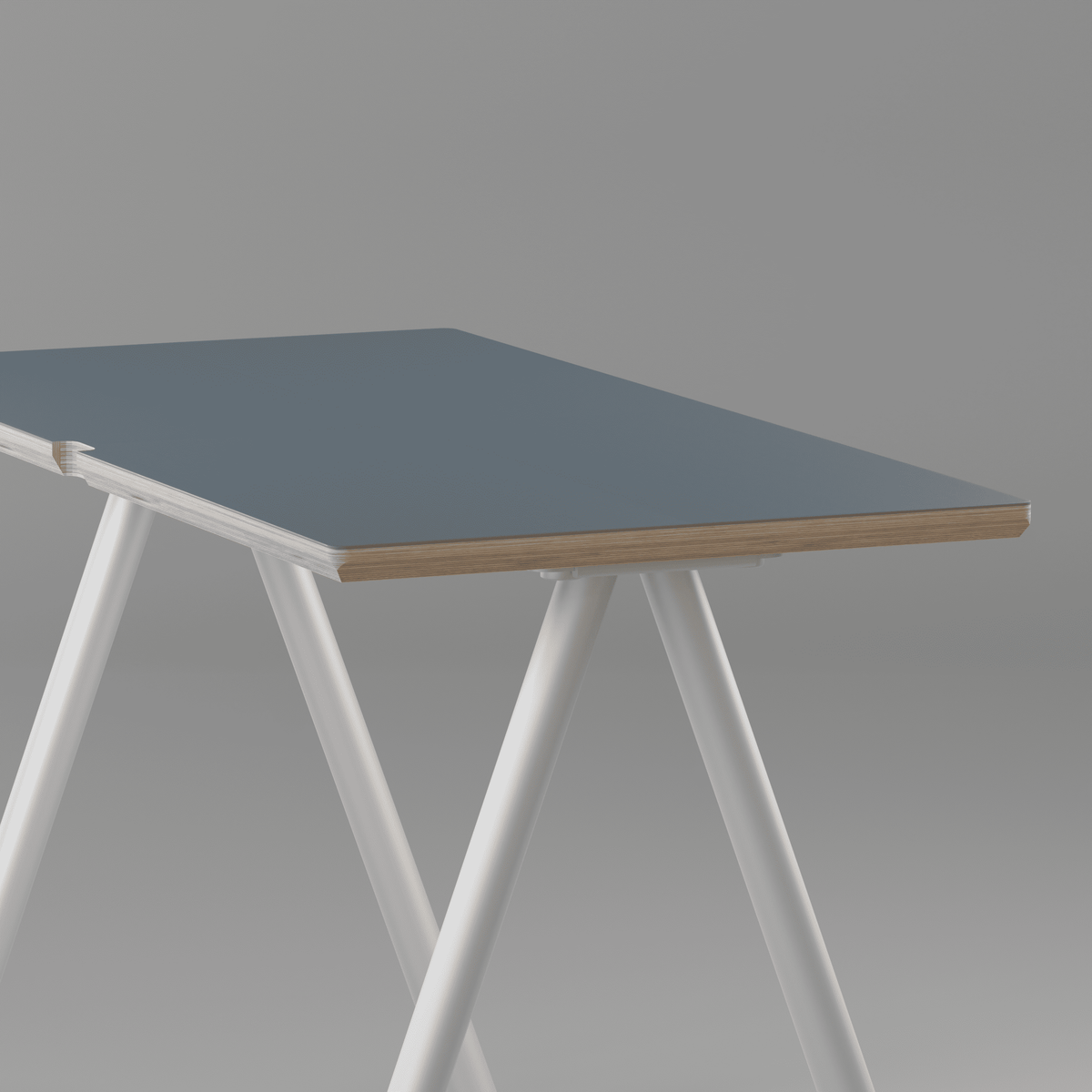 #size_55"x24"