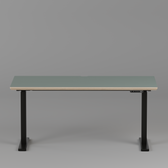 Model 301 Electric Standing Desk | Moss Green Fenix | 55 x 27 in | Black Legs