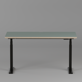 Model 301 Electric Standing Desk | Moss Green Fenix | 55 x 27 in | Black Legs