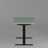 Model 301 Electric Standing Desk | Moss Green Fenix | 55 x 27 in | Black Legs