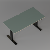 Model 301 Electric Standing Desk | Moss Green Fenix | 55 x 27 in | Black Legs