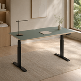 Model 301 Electric Standing Desk | Moss Green Fenix | 55 x 27 in | Black Legs