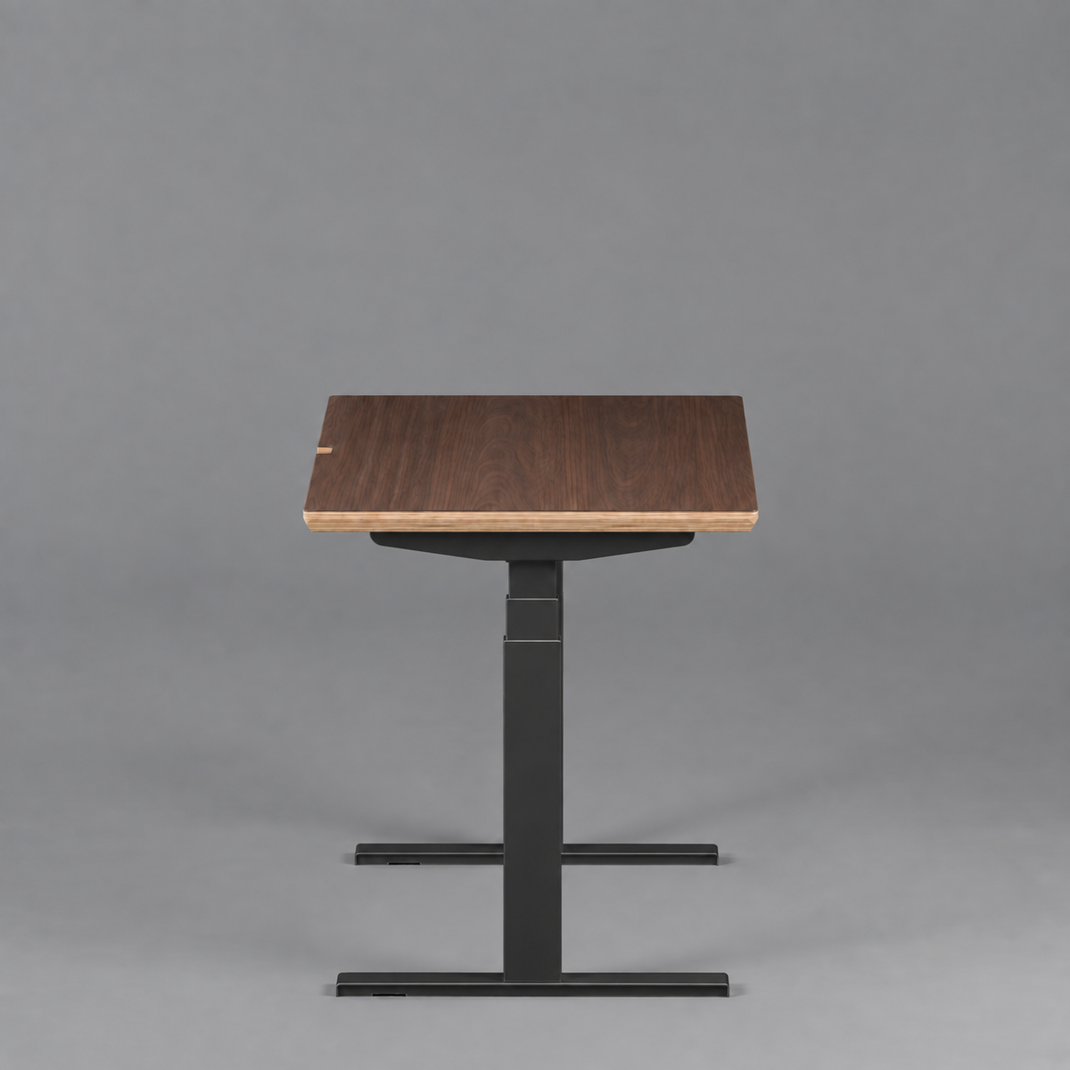 Model 301 Electric Standing Desk | Walnut Veneer | 55 x 27 in | Black Legs