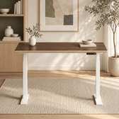 Model 301 Electric Standing Desk | Walnut Veneer | 48 x 24 in | White Legs