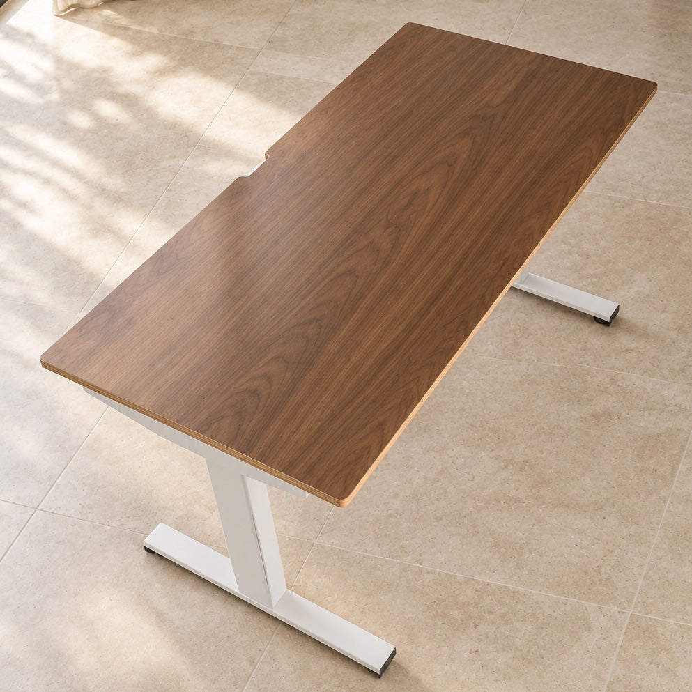 Model 301 Electric Standing Desk | Walnut Veneer | 48 x 24 in | White Legs